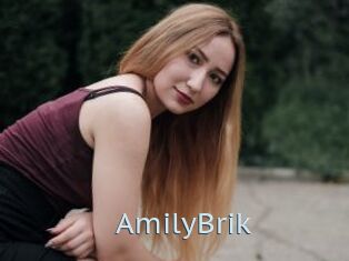 AmilyBrik