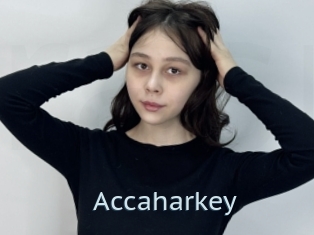 Accaharkey