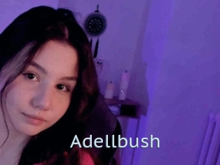 Adellbush