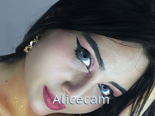 Alicecam