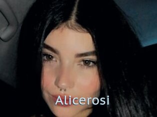 Alicerosi