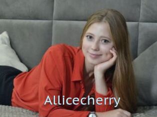 Allicecherry