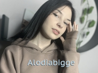 Alodiabigge