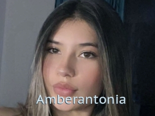 Amberantonia