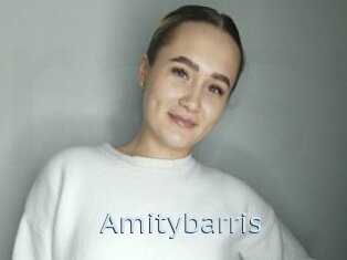 Amitybarris