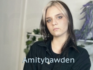 Amitybawden