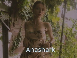 Anashark