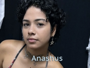 Anashus