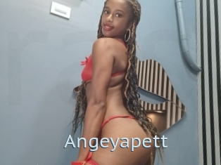 Angeyapett