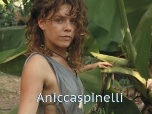 Aniccaspinelli