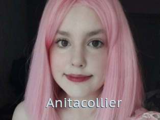 Anitacollier