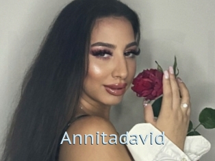 Annitadavid