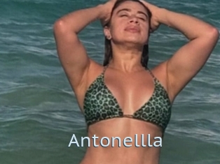 Antonellla