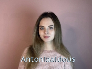 Antoniaaldous