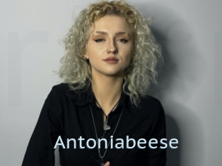 Antoniabeese