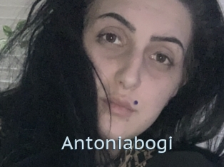 Antoniabogi