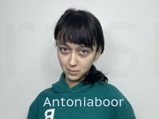 Antoniaboor