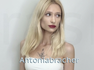 Antoniabracher