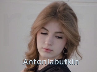 Antoniabufkin