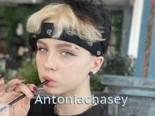 Antoniachasey