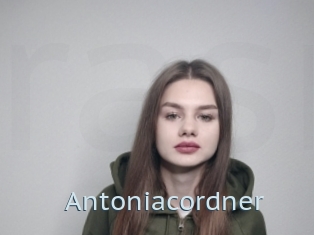 Antoniacordner