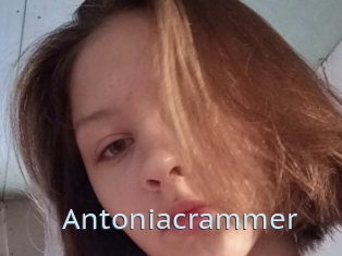 Antoniacrammer