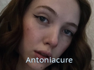 Antoniacure