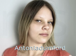 Antoniadumford