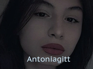 Antoniagitt