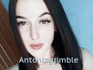 Antoniagrimble