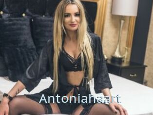 Antoniahaart