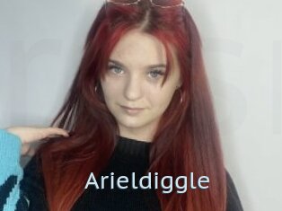 Arieldiggle