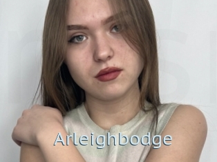 Arleighbodge