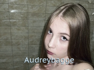 Audreybagge