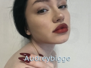 Audreybigge