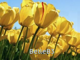 BelleB3