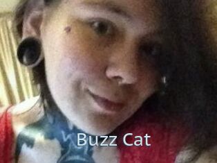 Buzz_Cat