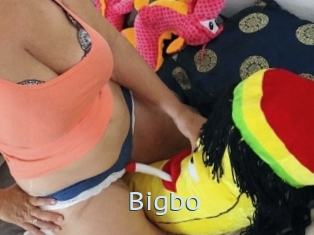 Bigbo