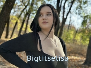 Bigtitselisa
