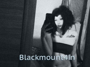 Blackmount4in