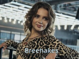 Breehakes