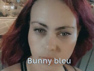 Bunny_bleu