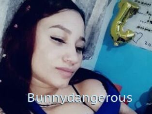 Bunnydangerous