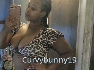 Curvybunny19