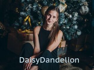 DaisyDandelion