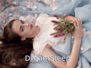 DreamSleep