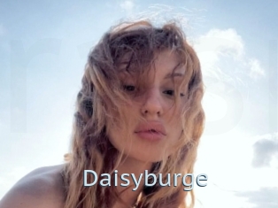 Daisyburge