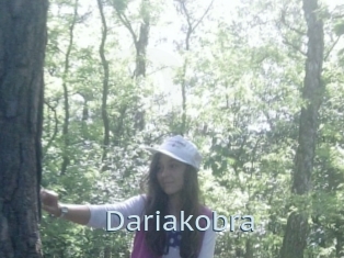 Dariakobra