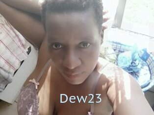 Dew23