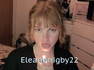 Eleanorrigby22
